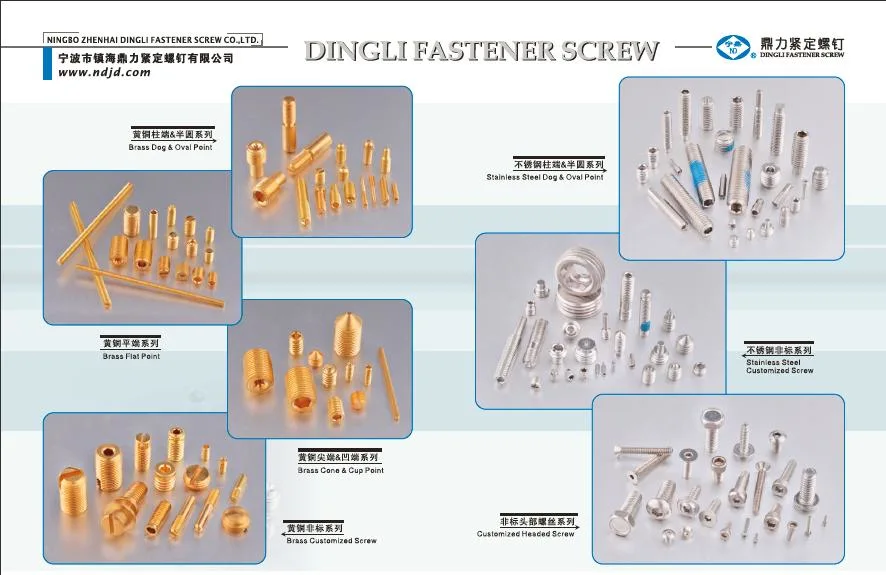 China Factory Set Screw Made of Aluminum